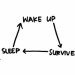 Wake up, Survive, Sleep, Wake up, Survive, Sleep, Wake up, ...